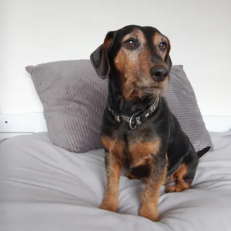 View And Self-catering 4* Grasmere