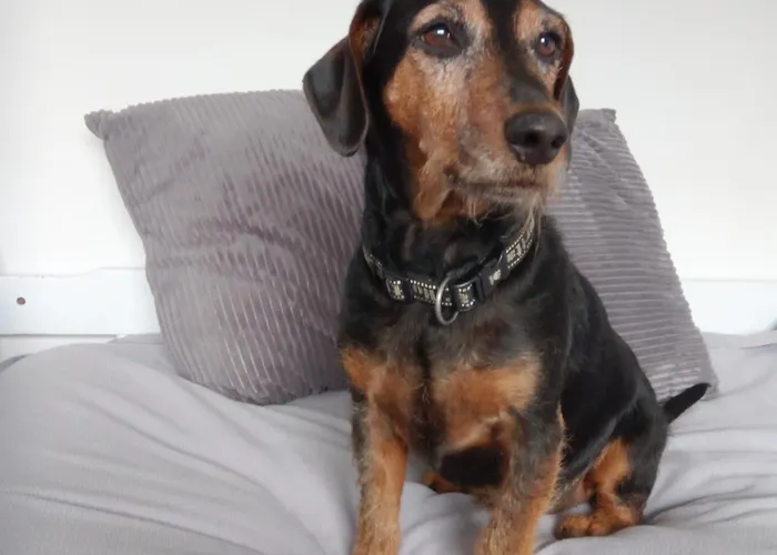 View And Self-catering 4* Grasmere