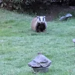 View And Self-catering 4*